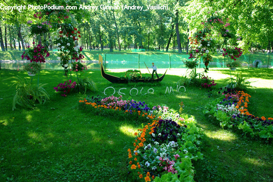 Yard, Garden, Backyard, Field, Grass, Lawn, Plant