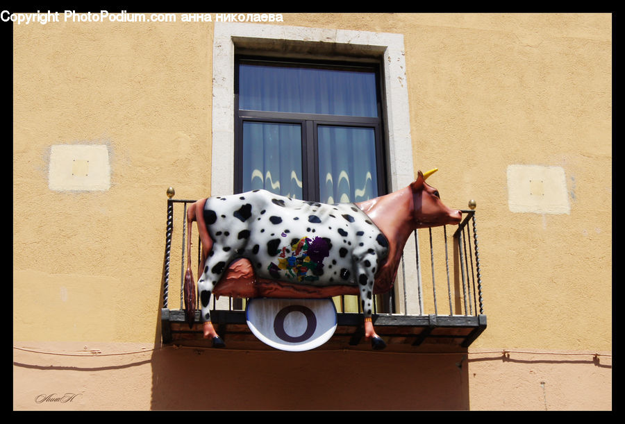 Animal, Canine, Dalmatian, Dog, Mammal, Pet, Balcony