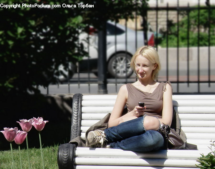 People, Person, Human, Plant, Potted Plant, Bench, Cosmos