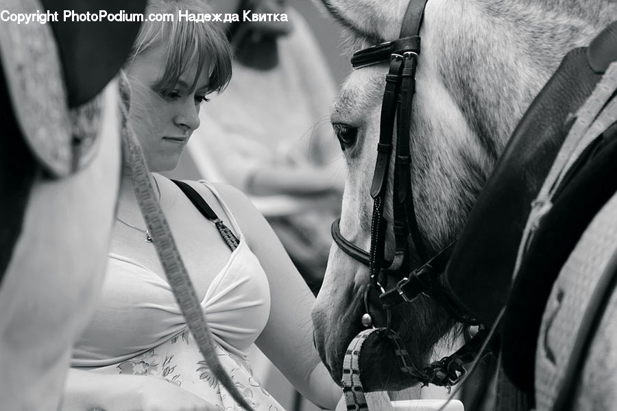 People, Person, Human, Animal, Horse, Mammal, Bikini
