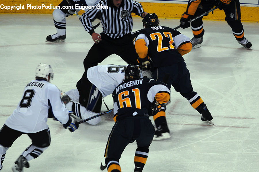 People, Person, Human, Arena, Hockey, Sport, Ice Hockey