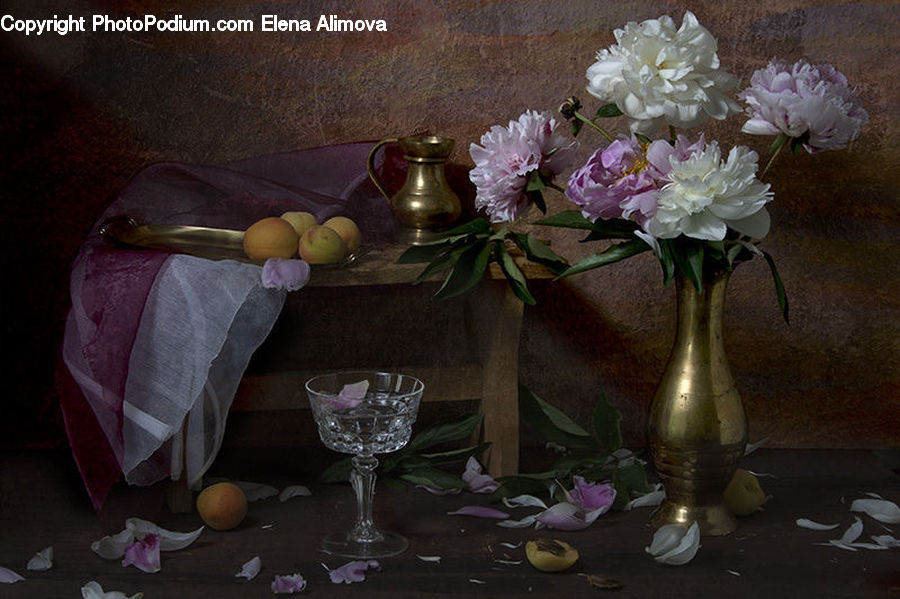 Glass, Goblet, Blossom, Flower, Peony, Plant, Potted Plant