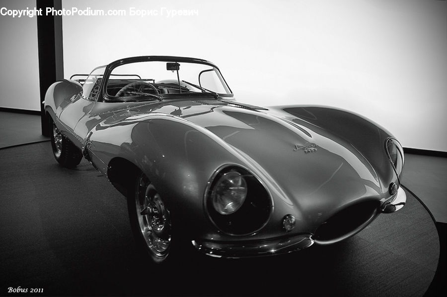 Automobile, Car, Convertible, Hot Rod, Vehicle, Sedan, Antique Car