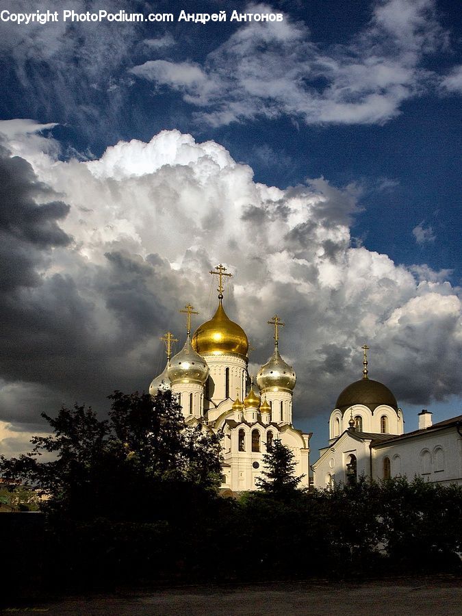 Plant, Potted Plant, Architecture, Cathedral, Church, Worship, Dome