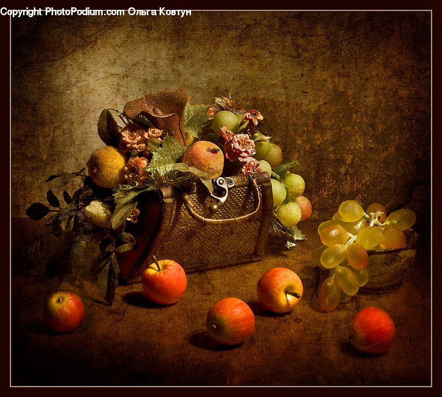Art, Painting, Still Life, Invertebrate, Sea Anemone, Sea Life, Plant