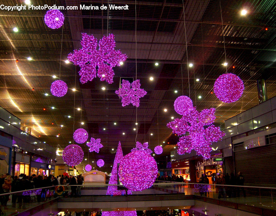 Lighting, Fireworks, Night, Glitter, Light, Blossom, Flora