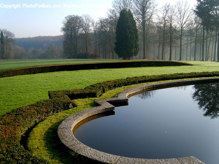 Outdoors, Pond, Water, Plant, Tree, Fir, Forest