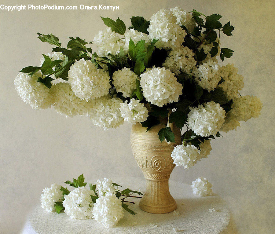 Blossom, Flower, Lilac, Plant, Flower Arrangement, Ikebana, Potted Plant
