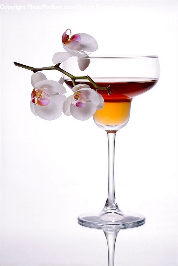 Blossom, Flora, Flower, Plant, Petal, Glass, Alcohol