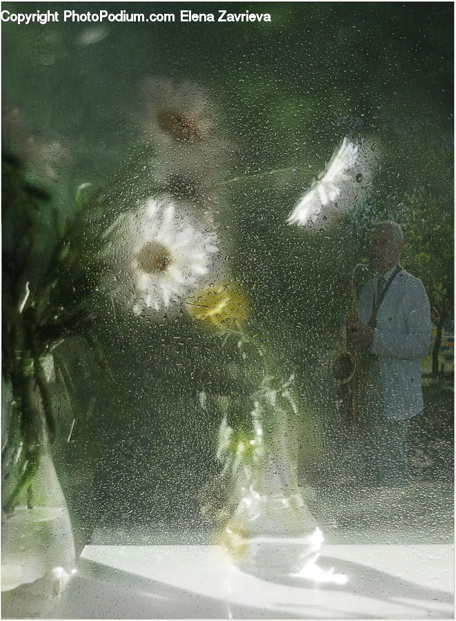 People, Person, Human, Water, Outdoors, Plant, Tree