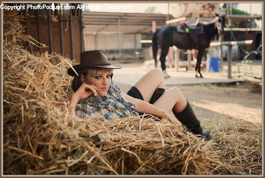 People, Person, Human, Hay, Straw, Animal, Horse