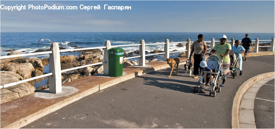 Bicycle, Bike, Vehicle, Stroller, Automobile, Beach Wagon, Animal