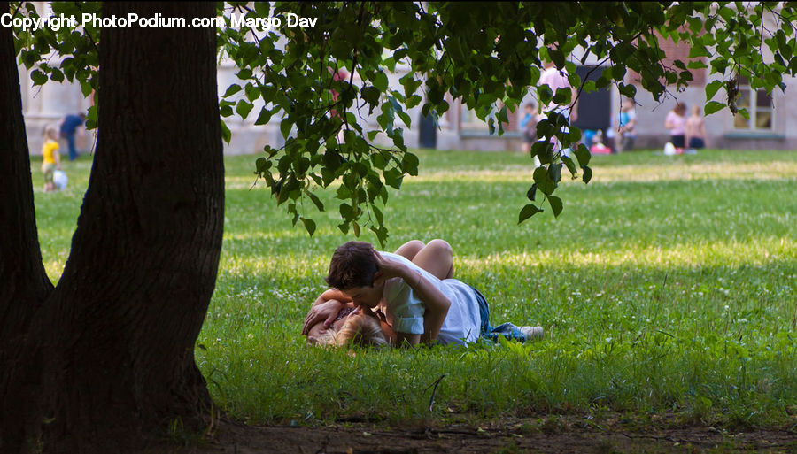 People, Person, Human, Tree Trunk, Oak, Sycamore, Tree