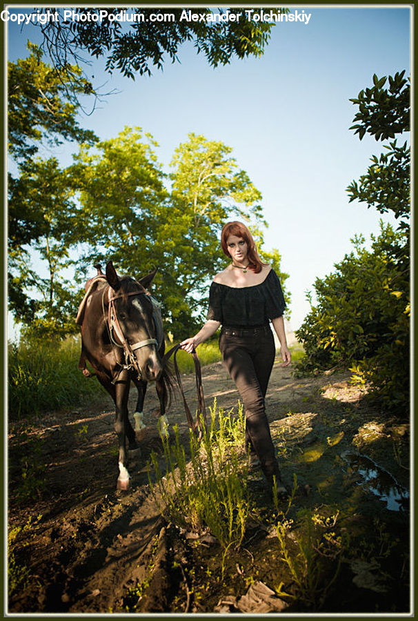 People, Person, Human, Animal, Horse, Mammal, Equestrian