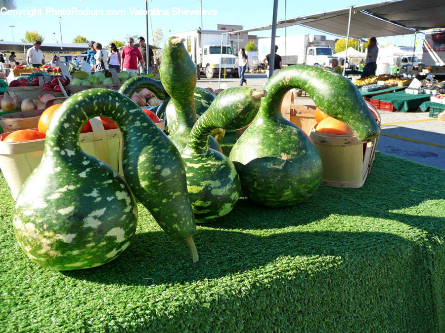 Fruit, Watermelon, Gourd, Produce, Vegetable, Cucumber, Grocery Store