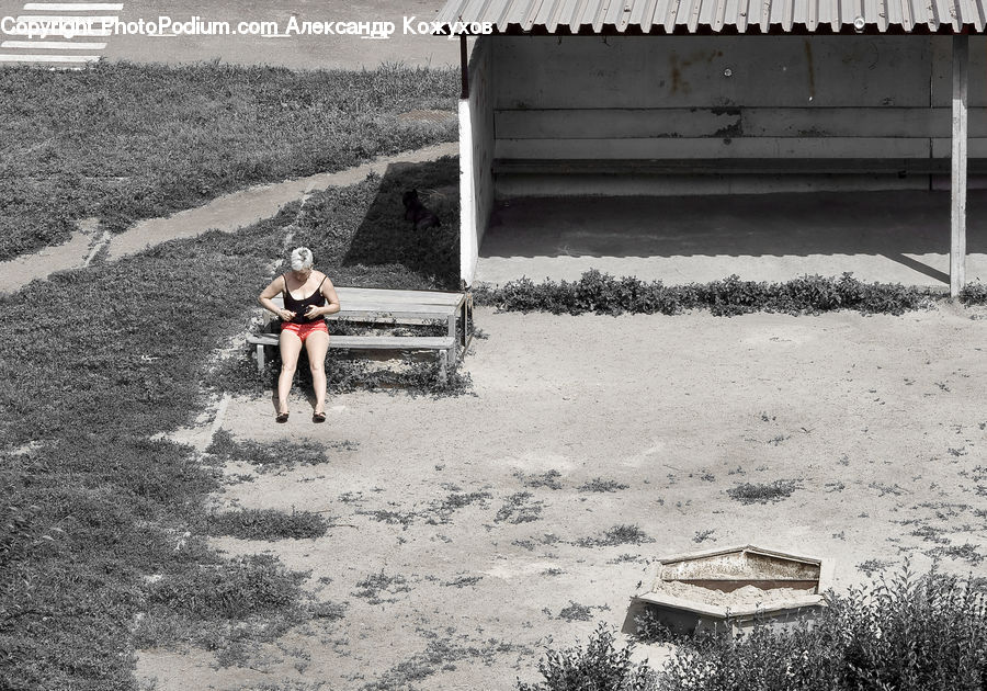 People, Person, Human, Bench, Blonde, Female, Woman