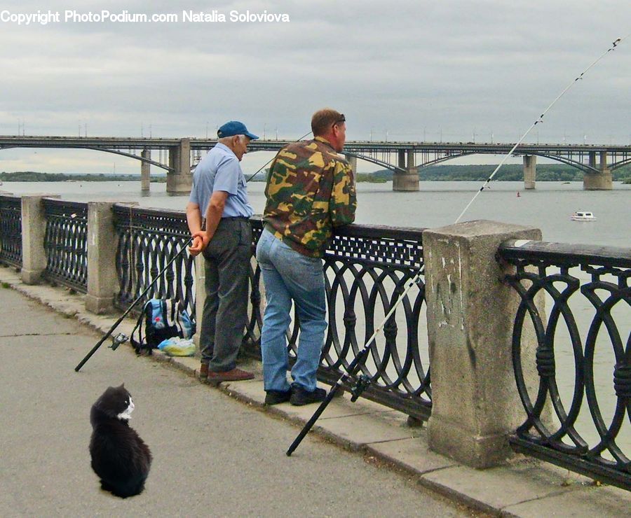 People, Person, Human, Animal, Cat, Mammal, Pet