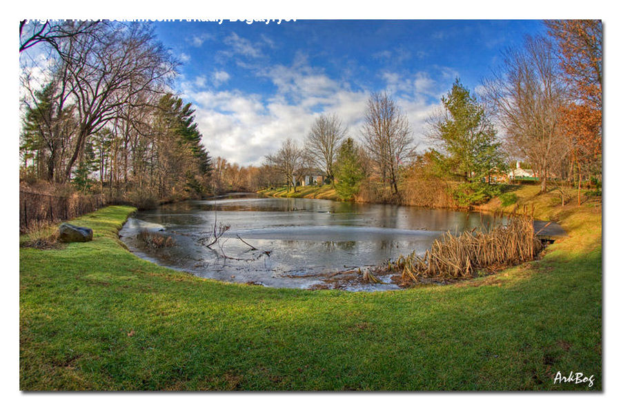 Outdoors, Pond, Water, Field, Grass, Grassland, Plant