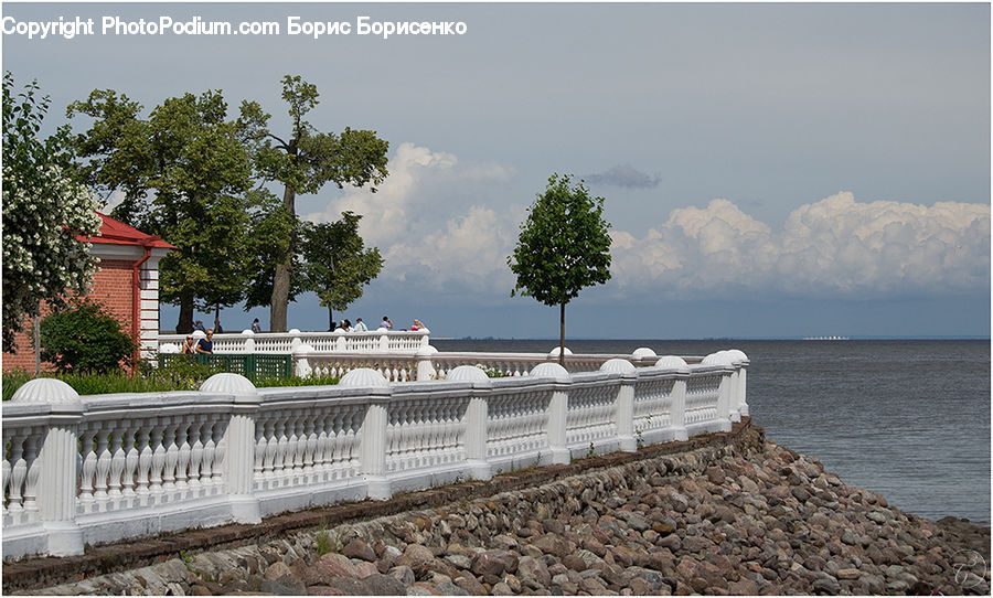Plant, Tree, Landscape, Nature, Scenery, Outdoors, Sea