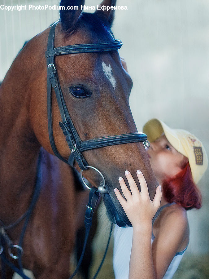 People, Person, Human, Animal, Equestrian, Horse, Back