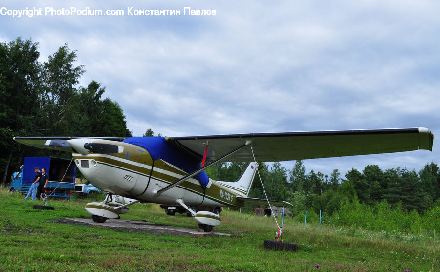 Aircraft, Airplane, Biplane, Field, Grass, Grassland, Plant