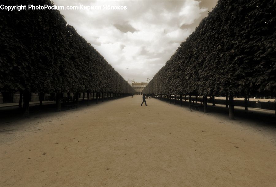 Ancient Egypt, Architecture, Pyramid, Triangle, Path, Road, Walkway