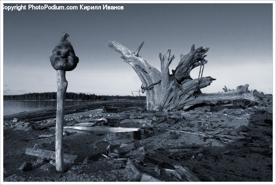 Art, Sculpture, Statue, Gargoyle, Rubble, Tree Stump, Architecture