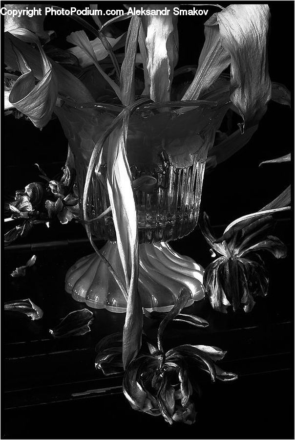 Art, Sculpture, Statue, Anthurium, Flower, Plant, Footwear