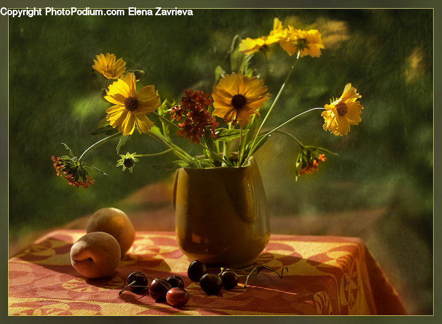 Plant, Potted Plant, Blossom, Flora, Flower, Jar, Porcelain