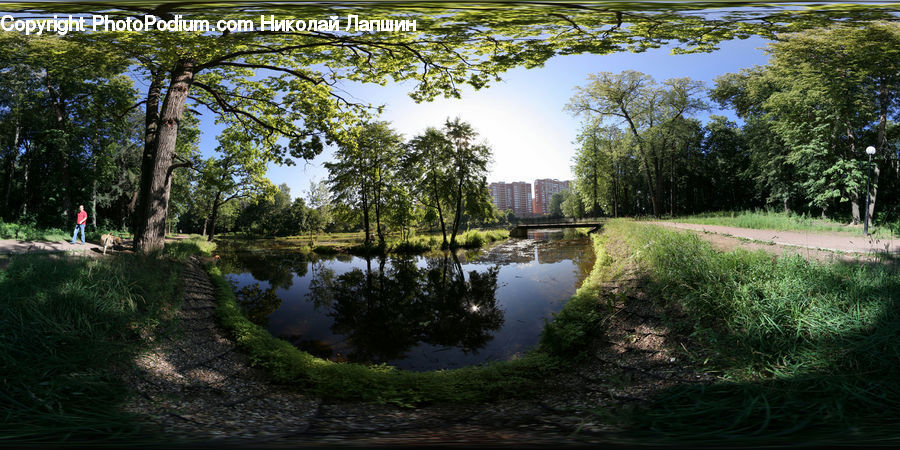 Land, Marsh, Outdoors, Swamp, Water, Canal, River