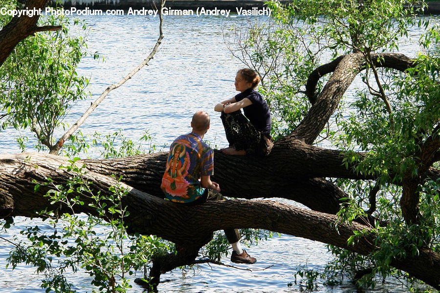 People, Person, Human, Outdoors, Pond, Water, Forest