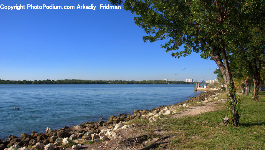 Beach, Coast, Outdoors, Sea, Water, Lake, Promontory