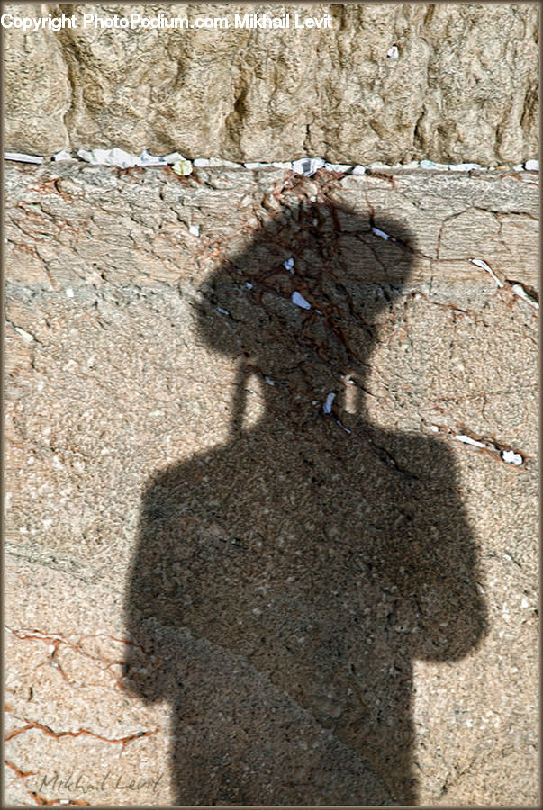 Afro Hairstyle, Hair, Dung Beetle, Insect, Invertebrate, Coat, Overcoat