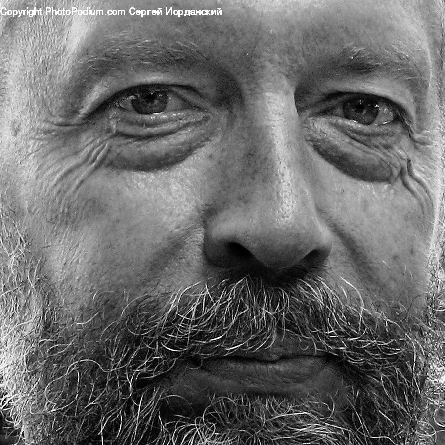 Beard, Hair, Person, Portrait, Selfie, Head, Face