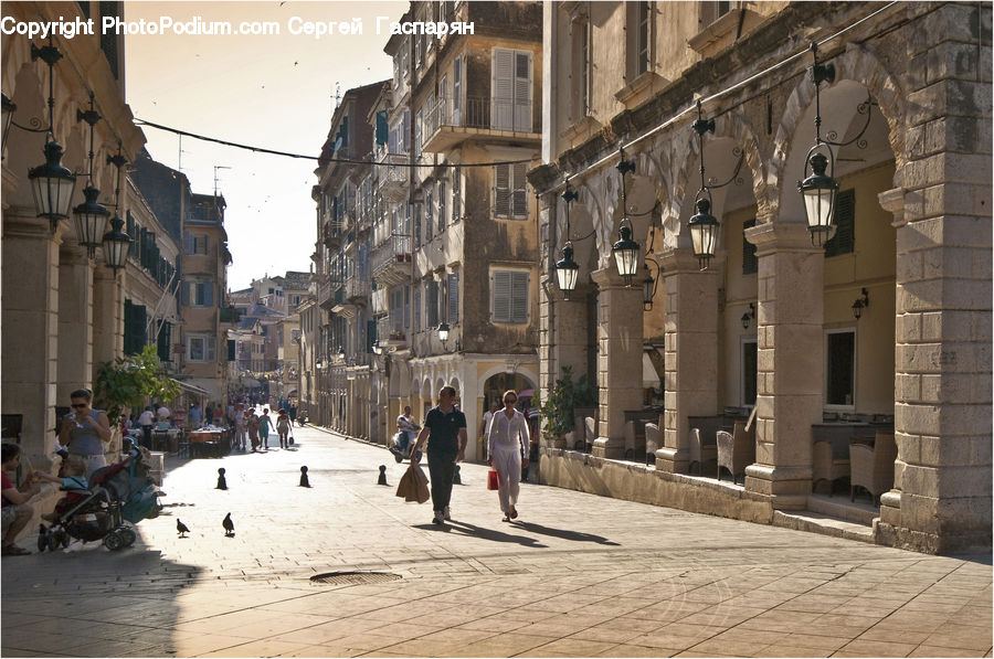 Plant, Potted Plant, Road, Street, Town, Cafeteria, Restaurant