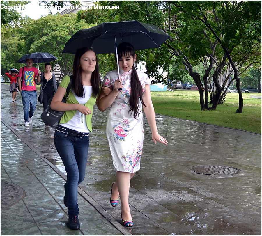 People, Person, Human, Female, Umbrella, Girl, Woman