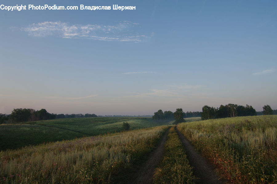 Dirt Road, Gravel, Road, Field, Grass, Grassland, Land