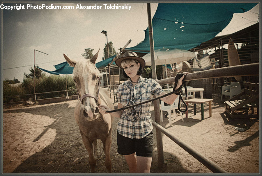 People, Person, Human, Bench, Animal, Horse, Mammal