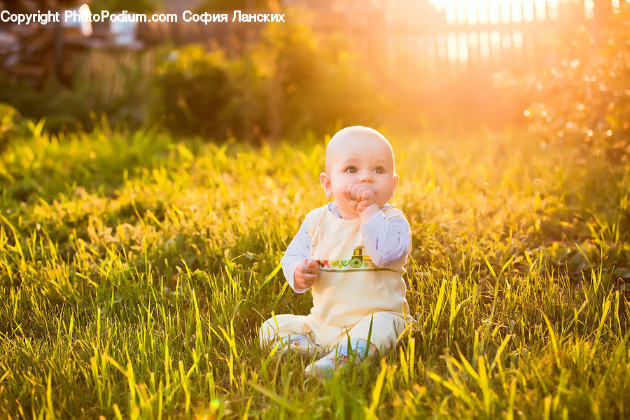 Human, People, Person, Field, Grass, Grassland, Plant