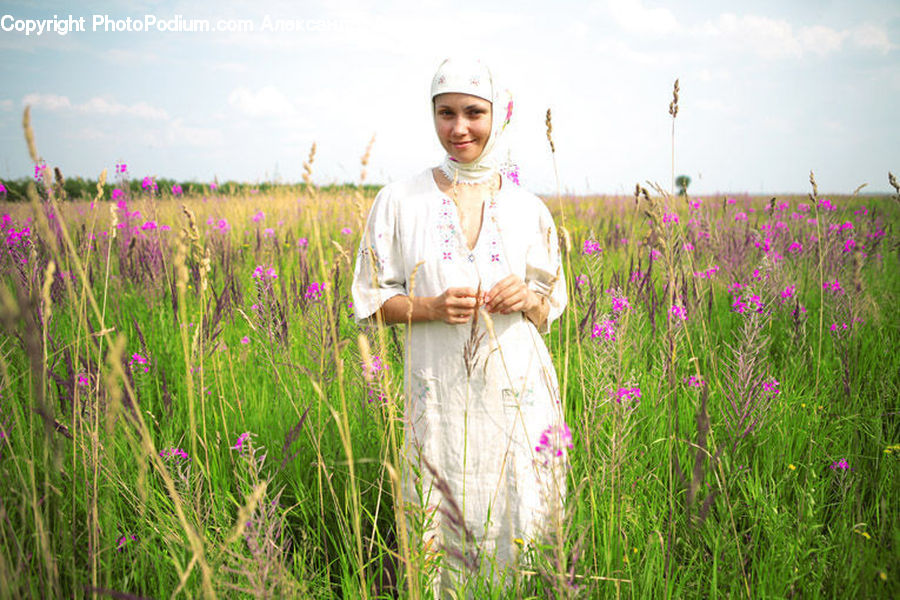 Human, People, Person, Lavender, Plant, Field, Blossom