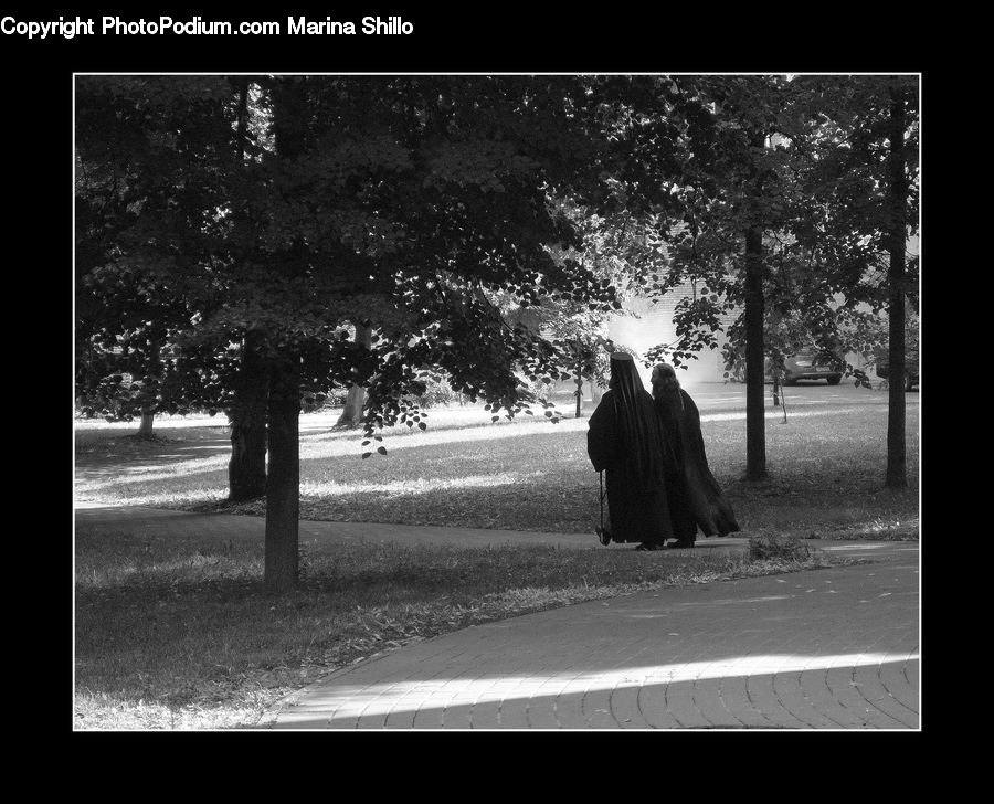 People, Person, Human, Cloak, Silhouette, Plant, Tree