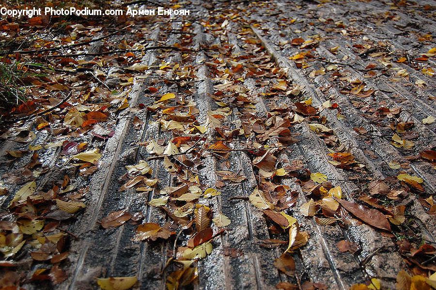 Cake, Dessert, Food, Pavement, Rust, Asphalt, Tarmac
