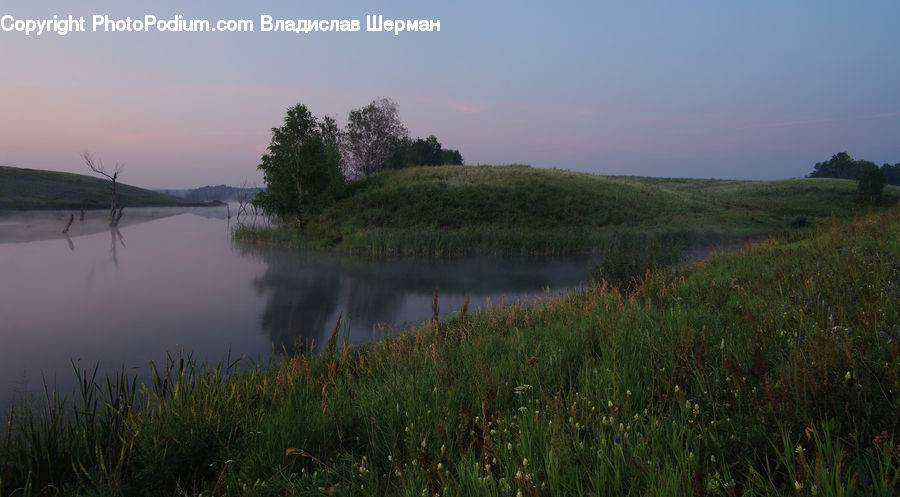 Field, Grass, Grassland, Plant, Land, Outdoors, Dawn