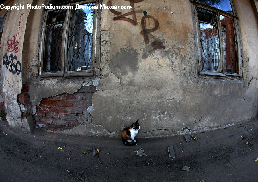 Hole, Manhole, Sewer, Alley, Alleyway, Road, Street