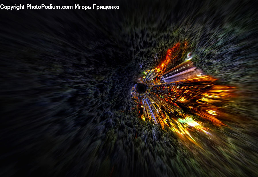 Fireworks, Night, Sea Life, Urchin