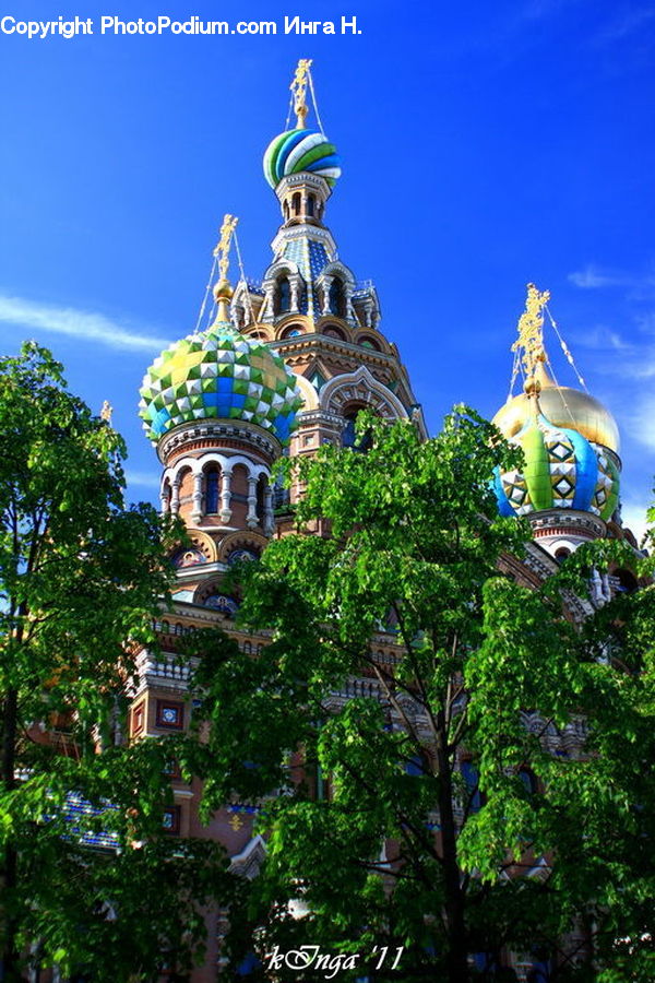 Plant, Potted Plant, Architecture, Tower, Cathedral, Church, Worship
