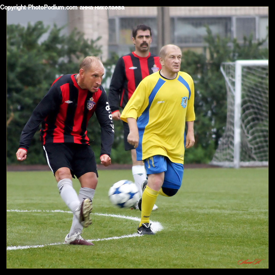 People, Person, Human, Football, Soccer, Sport, Team