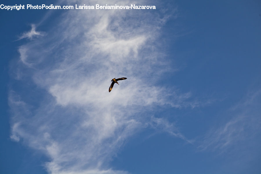 Adventure, Flight, Gliding