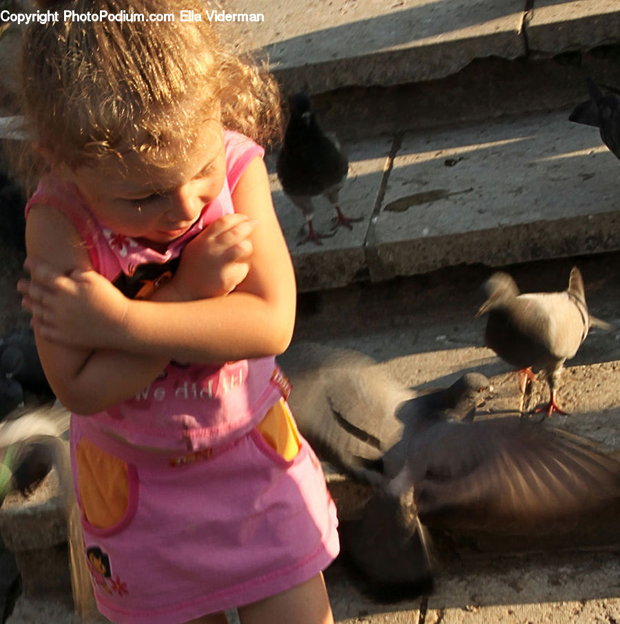 People, Person, Human, Bird, Goose, Waterfowl, Animal