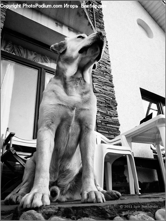 Art, Sculpture, Statue, Chair, Furniture, Banister, Handrail